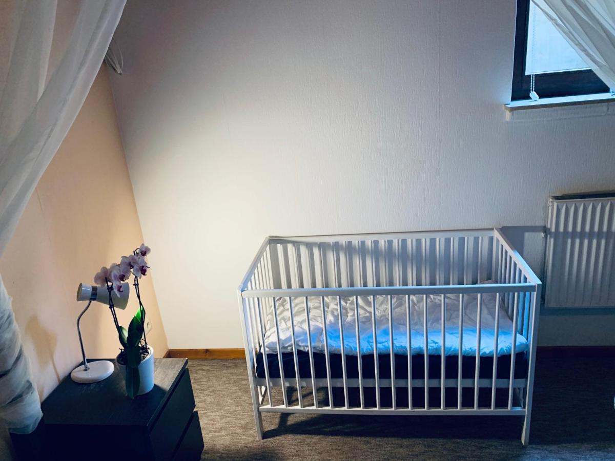 Maja Ferienwohnung Goddelsheim Dış mekan fotoğraf